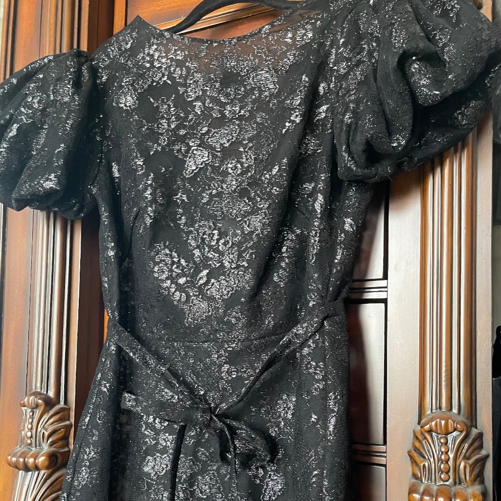 The Vampire’s Wife The Scoop Dog Dress in Black Metallic Lace